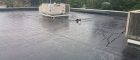 Professional Commercial Roof Contractors IL